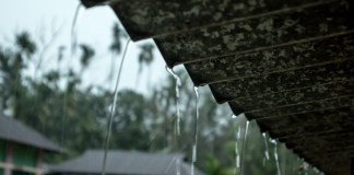 El Insivumeh y la Conred informan de lluvias para las siguientes horas por la tormenta tropical Cristina que se desplaza hacia El Salvador. Foto La Hora: Wire Creators / Shutterstock.