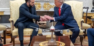Fotografía de archivo, tomada el 14 de abril de 2025, en la que se captó al presidente de Estados Unidos, Donald Trump (d), al estrechar la mano de su homólogo salvadoreño, Nayib Bukele (i), al recibirlo en el Despacho Oval de la Casa Blanca. Foto La Hora: EFE