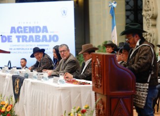 ¿Alternativa a los Codedes? Así funcionan las agendas territoriales para el desarrolllo de comunidades indígenas Las agendas territoriales buscan impulsar proyectos de desarrollos propuestos por comunidades indigenas del país.