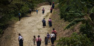 Archivo de vista de indígenas desplazados en las montañas del estado de Chiapas (México). Foto La Hora: EFE
