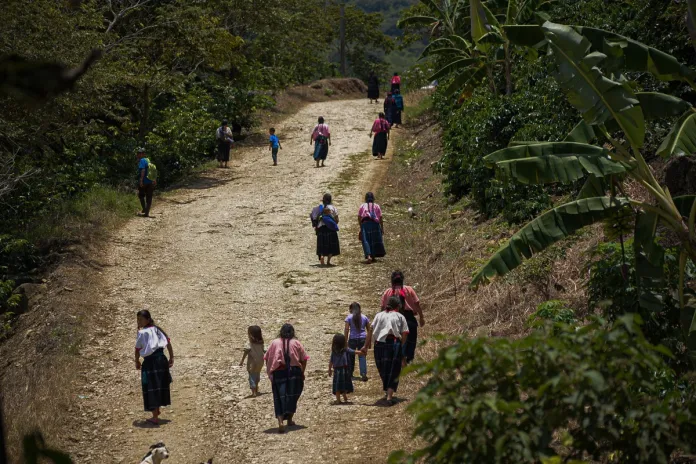 ONG denuncian despojo, desplazamientos y criminalización contra indígenas de sur de México Archivo de vista de indígenas desplazados en las montañas del estado de Chiapas (México). Foto La Hora: EFE