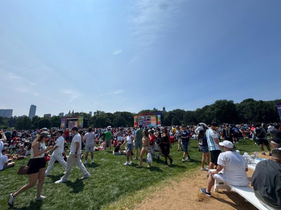 Las personas se re&uacute;nen en Central Park en New Jersey para ver la final de Argentina contra Espa&ntilde;a. Foto La Hora: Redes Sociales.