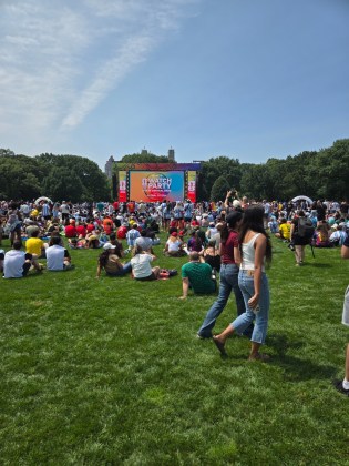 Fanáticos se reúnen en Central Park para ver la final entre Argentina y España