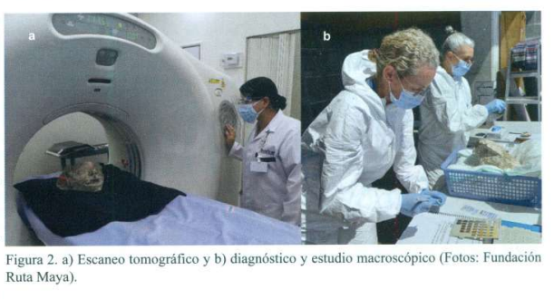 Análisis de cráneo maya cubierto de estuco. Foto La Hora: Mexicon