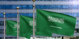 Arabia Saudí anuncia la creación de una alianza multinacional para proteger el mar Rojo Fuerza Multinacional de Defensa Marítima