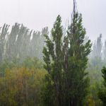 Archivo de lluvia por ingreso de onda del Este en el territorio nacional. Foto La Hora: Insivumeh