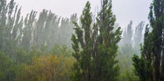 Archivo de lluvia por ingreso de onda del Este en el territorio nacional. Foto La Hora: Insivumeh