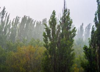 Archivo de lluvia por ingreso de onda del Este en el territorio nacional. Foto La Hora: Insivumeh