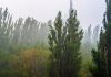Archivo de lluvia por ingreso de onda del Este en el territorio nacional. Foto La Hora: Insivumeh