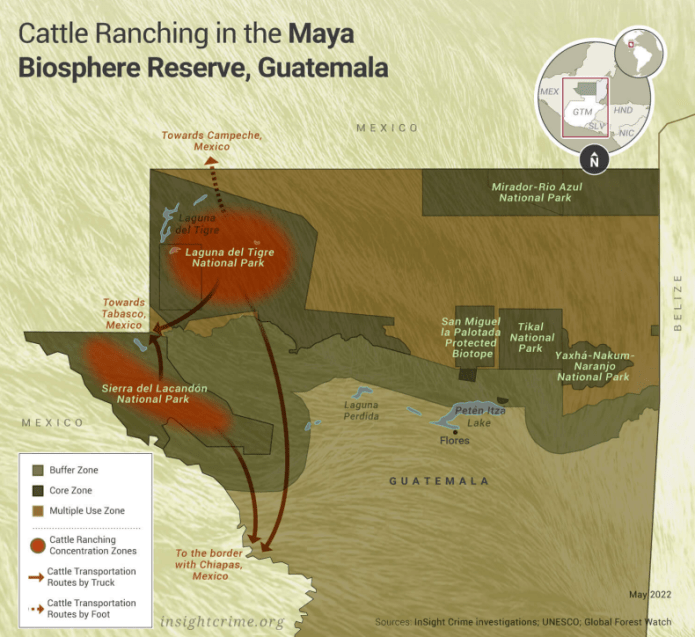 tráfico de ganado Biósfera Maya