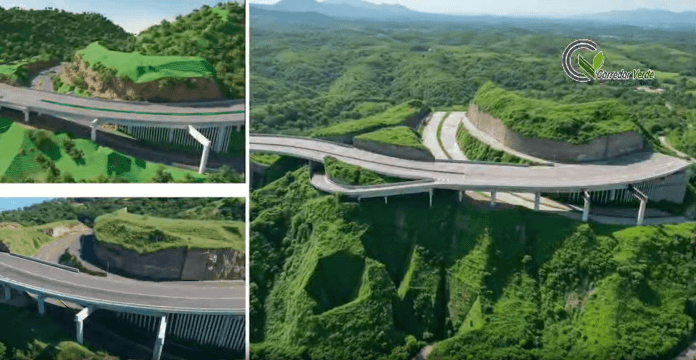 puentes Corredor Verde