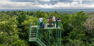 «Selva Maya en Jaque»: el documental guatemalteco nominado a los Wildscreen Panda Awards, los «Óscar Verdes»