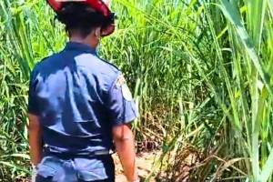 El llanto de una bebé que pasó la noche junto a los restos de sus padres, el hallazgo al sur del país