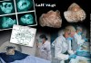 El enigma del rostro sagrado: así era el cráneo maya oculto bajo una capa de estuco