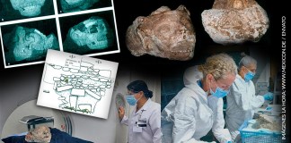 El enigma del rostro sagrado: así era el cráneo maya oculto bajo una capa de estuco