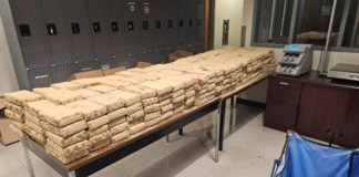 Incautan USD 20 millones en droga escondida en un camión comercial en la frontera EE. UU.-México Incautan USD20 millones en droga escondida en un camión comercial en la frontera EE. UU.-México