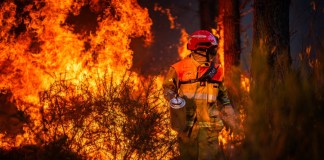 Incendios en Francia