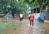 Inundación por crecida del río Polochic en Alta Verapaz. Foto La Hora: Conred