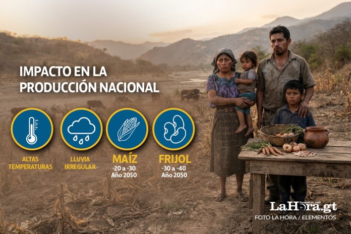 LH Salud