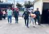 PNC da persecución y captura a responsables de atropellar a policías