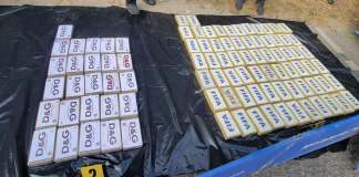 Paquetes con posibles ilícitos estaban disfrazados de productos de marca y ocultos en un picop Paquetes con posibles ilícitos estaban disfrazados de productos de marca y ocultos en un pick-up