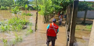 Saturación del suelo registrada en Alta Verapaz por constantes lluvias en el sector. Foto La Hora: Conred
