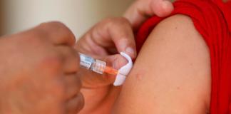 Expertos piden a México incorporar vacuna contra dengue ante riesgo de nuevas epidemias