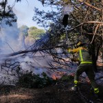 Bomberos trabajan en la zona afectada por el incendio del oeste de la Comunidad de Madrid en la localidad de Pelayos de la Presa. Foto La Hora: EFE