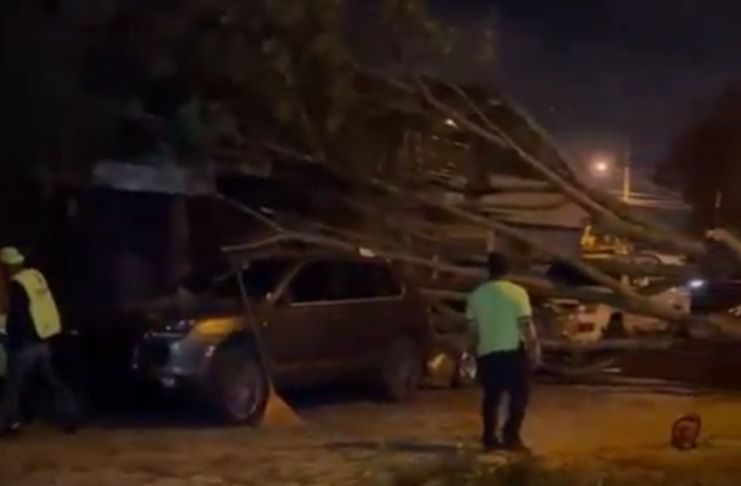 Caída de árbol ocasiona daños a dos autos y afecta movilidad vehicular en zona 13 Dos vehículos resultaron dañados tras el desplome del árbol en la zona 13 y afectó el paso vehicular. Foto La Hora: captura de pantalla Policía MT