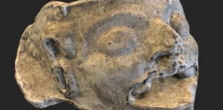Investigadores develan los detalles de un cráneo estucado, un joven maya entregado a los dioses Cráneo estucado de un joven de los antiguos pueblos mayas. Foto: doctor Rafael Mejicano.