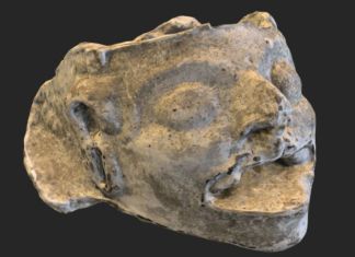 Investigadores develan los detalles de un cráneo estucado, un joven maya entregado a los dioses Cráneo estucado de un joven de los antiguos pueblos mayas. Foto: doctor Rafael Mejicano.
