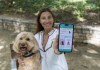 Un dispositivo biométrico ayuda a los dueños de los perros a anticipar problemas de salud El dispositivo ayuda a monitorear el estado vital y actividad física de la mascota. Foto: EFE.