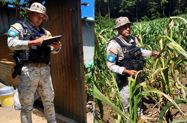 PNC remitirá denuncias por la quema de cultivos que afectó a cuatro agricultores en la aldea San José Calderas, en el municipio de San Andrés Itzapa.