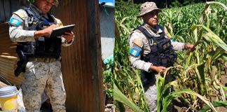 PNC atiende daños por quema de cultivos en San Andrés Itzapa y remite denuncia al MP PNC remitirá denuncias por la quema de cultivos que afectó a cuatro agricultores en la aldea San José Calderas, en el municipio de San Andrés Itzapa.