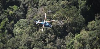 Rescatista del Ejército desaparecido tras accidente aéreo habría sido localizado, según fuentes del Ejército El Ministerio de la Defensa informó que las labores de búsqueda y rescate de un elemento desaparecido el domingo se mantienen hasta este lunes.