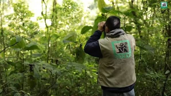 Un guardarrecursos fue retenido por invasores durante un operativo en el Parque Nacional Lagua Lachuá, según Conap.