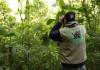 Un guardarrecursos fue retenido por invasores durante un operativo en el Parque Nacional Lagua Lachuá, según Conap.