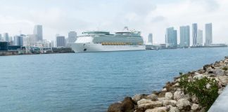 Más de 100 personas se contagian de norovirus en un crucero que partió de California Pasajeros y tripulantes se contagiaron de norovirus a bordo del crucero Ruby Princess. Foto La Hora: EFE