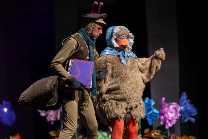 El Patito Feo en teatro infantil. Foto: MCD.