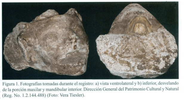 El enigma del rostro sagrado: así era el cráneo maya oculto bajo una capa de estuco