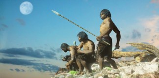 Analizaron las conductas de los "Homo sapiens" a través de un esqueleto. Foto: Denis---S / Shutterstock.