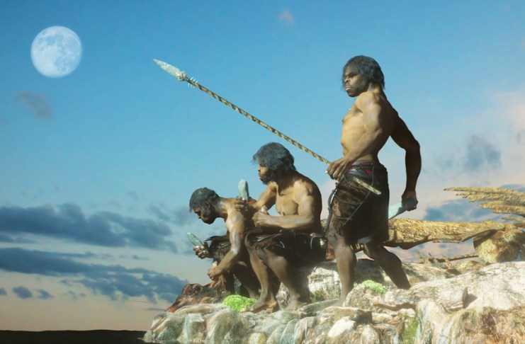 Violencia y funerales, comportamientos en los primeros «Homo sapiens» Analizaron las conductas de los "Homo sapiens" a través de un esqueleto. Foto: Denis---S / Shutterstock.