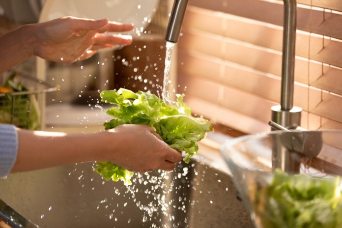 El agua de lechuga se ha usado para inducir al sueño. Foto: Selfmade studio / shutterstock.