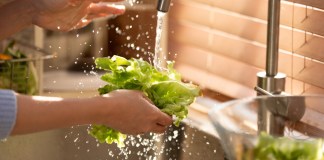 El agua de lechuga se ha usado para inducir al sueño. Foto: Selfmade studio / shutterstock.