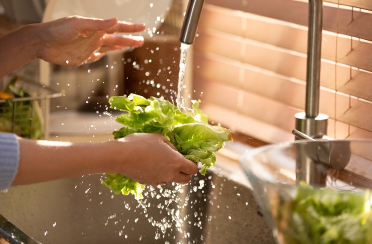 ¿Agua de lechuga para dormir? Qué dice la ciencia sobre este «remedio» El agua de lechuga se ha usado para inducir al sueño. Foto: Selfmade studio / shutterstock.