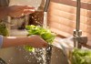 El agua de lechuga se ha usado para inducir al sueño. Foto: Selfmade studio / shutterstock.