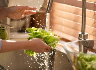 ¿Agua de lechuga para dormir? Qué dice la ciencia sobre este «remedio» El agua de lechuga se ha usado para inducir al sueño. Foto: Selfmade studio / shutterstock.