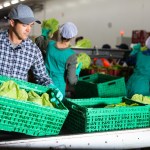El desarrollo rural es impulsado por medidas conjuntas entre Gobierno y sector privado. Foro La Hora: Shutterstock