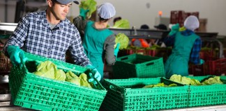 El desarrollo rural es impulsado por medidas conjuntas entre Gobierno y sector privado. Foro La Hora: Shutterstock