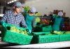 El desarrollo rural es impulsado por medidas conjuntas entre Gobierno y sector privado. Foro La Hora: Shutterstock